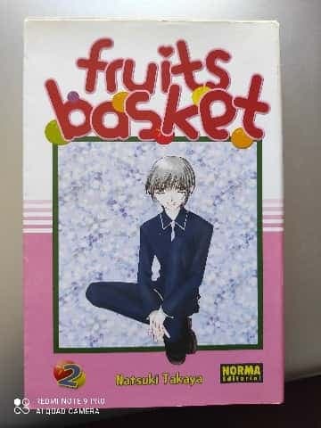 FRUITS BASKET 02