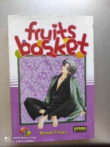 Fruits Basket 4