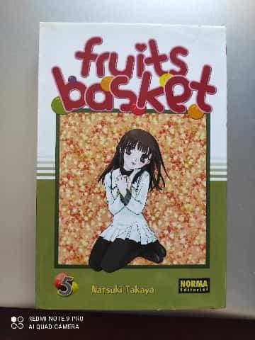 FRUITS BASKET 05