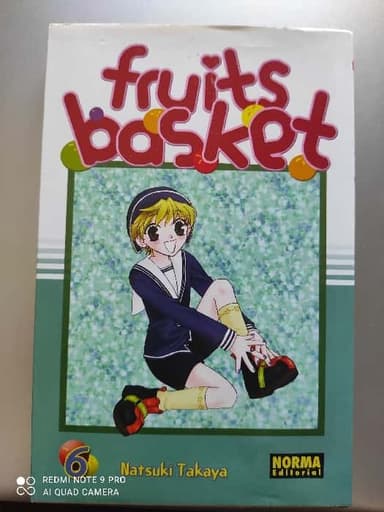 FRUITS BASKET 06