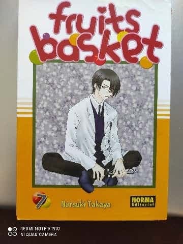 FRUITS BASKET 07