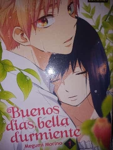 BUENOS DÍAS BELLA DURMIENTE 01