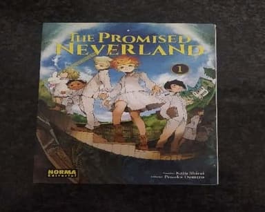 The promised neverland