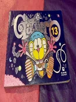Gaturro 13
