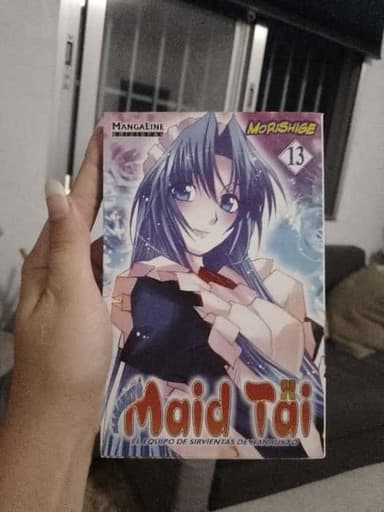 Maid Tai