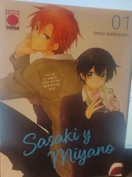 SASAKI Y MIYANO # 01