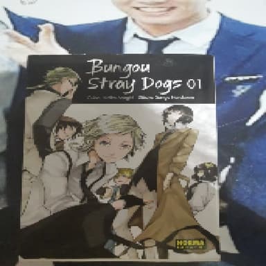 Bungou Stray Dogs 1
