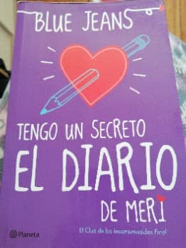 El diario de meri