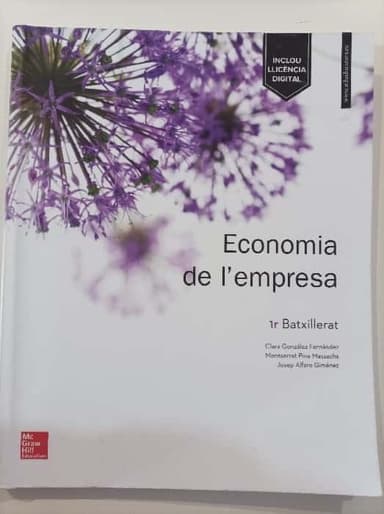 Economia de lempresa