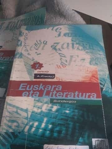 Euskara -A- DBHO 1
