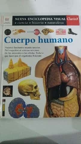 Cuerpo humano 