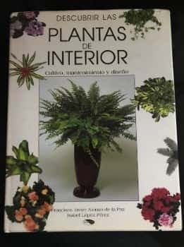 Descubrir las plantas de interior