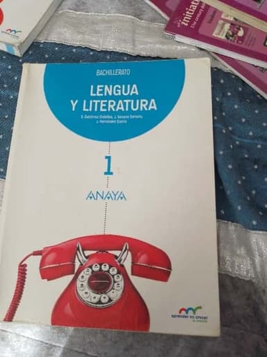 Lengua y Literatura 