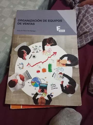 Organización de equipos de ventas