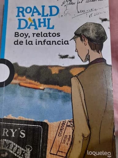 Boy, relatos de la infancia 