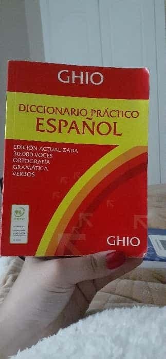 diccionario práctico español