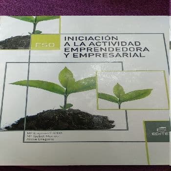 iniciación a la actividad emprendedora y empresarial