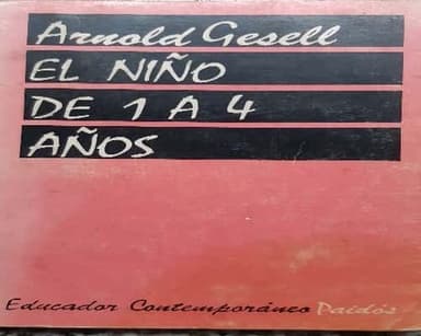 El niño de 1 a 4 años