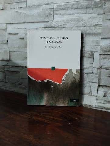 Nunca seremos poetas