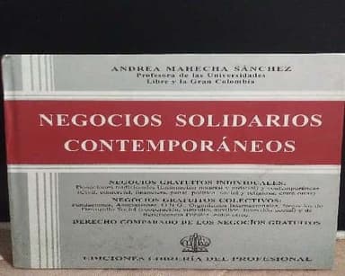 negocios solidarios contemporáneo 