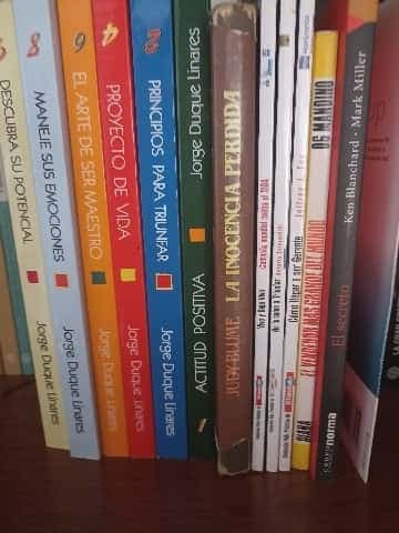 lote de libros 12
