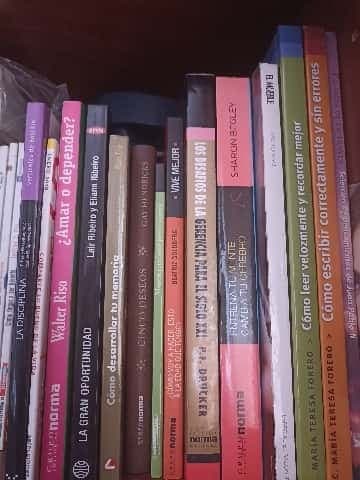 lote de 13 libros 