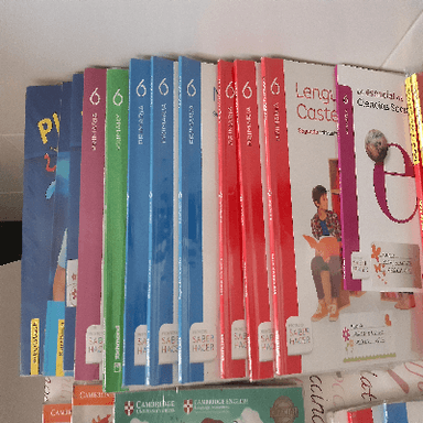 Libros de 6 de primaria 