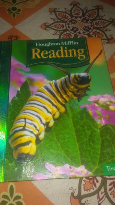 Houghton Mifflin Reading (Treasures, 1.4)