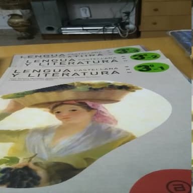 lengua castellana y literatura 3-1