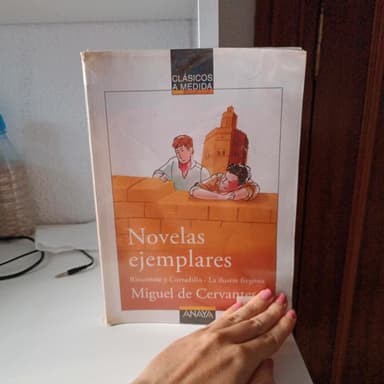 Rinconete Y Cortadillola Ilustre Fregona (Clasicos a Medida.)