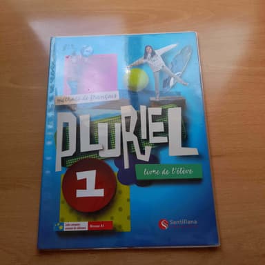 Pluriel 1 Frances
