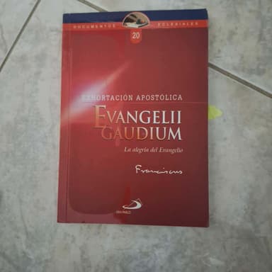 EvangelII Gaudium
