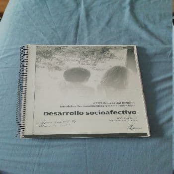 Desarrollo socioafectivo