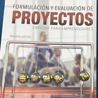 Formulación y evaluación de proyectos
