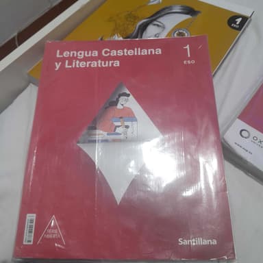 Lengua castellana y literatura