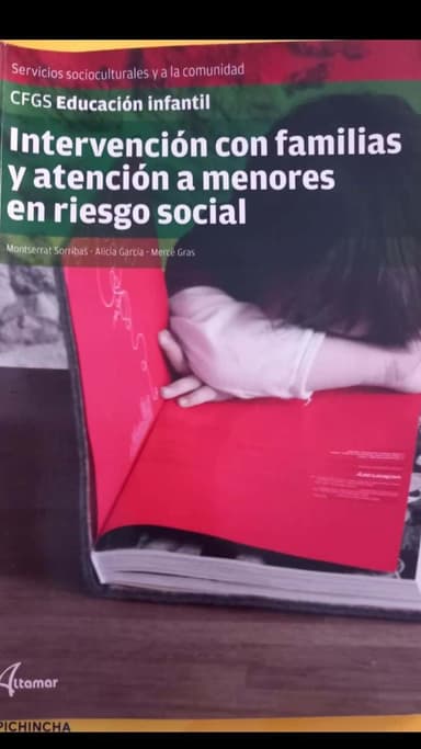 Intervencion con familias y atencion a menores en riesgo social CFGS Educacion  Infantil 