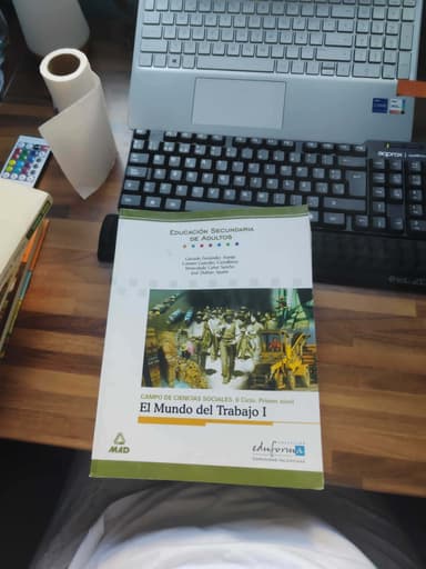 El mundo del trabajo i. Campo de ciencias sociales. Ii ciclo. Primer nivel. Comunidad valenciana