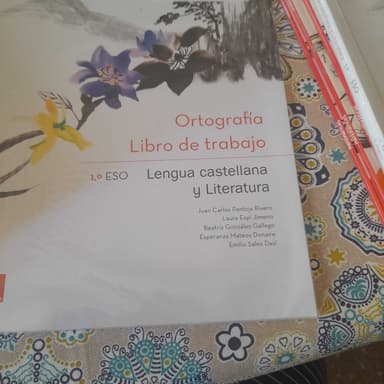 Ortografía libro de trabajo