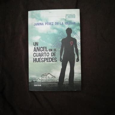 Un ǹgel en el cuarto de hušpedes