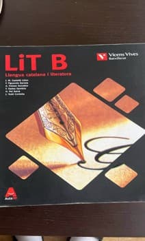 LIT B  AULA 3D