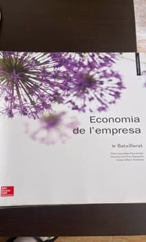 Economia de lempresa