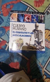 Cuerpo Humano: El esqueleto y las Articulaciones 