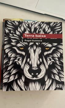 Terra baixa