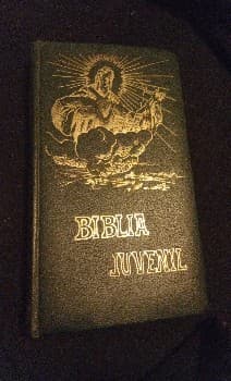 Biblia juvenil