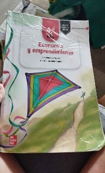 Economía y emprendimiebto