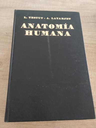 ANATOMIA HUMANA