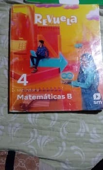 Libro de Mates B 4eso