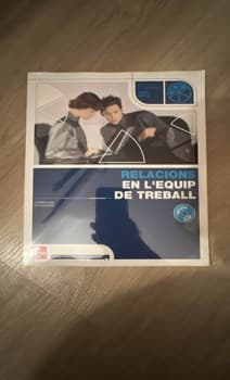 Relacions en lequip de treball
