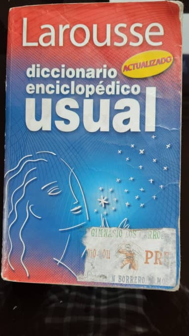 Larousse diccionario usual