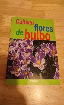 Cultivar flores de bulbo